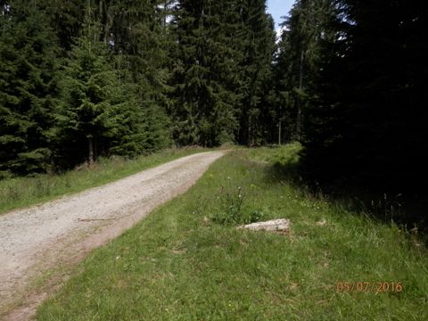 Foto 53